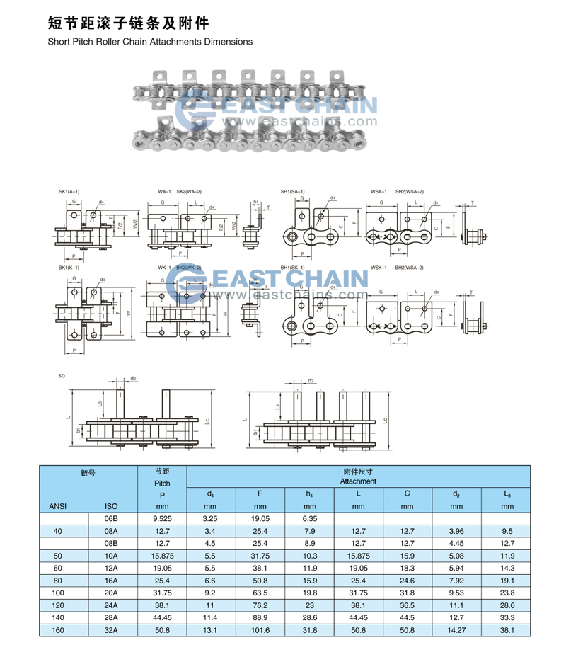 catalog-8